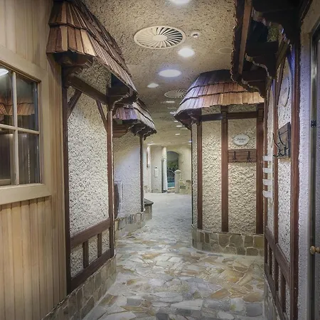 Carlsbad Plaza Medical & Wellness 카를로비바리