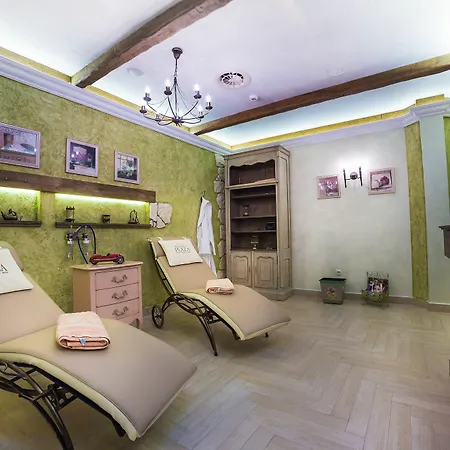 호텔 Carlsbad Plaza Medical & Wellness 5*